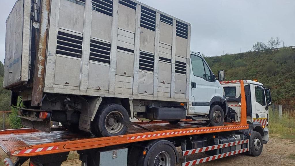 Una flota preparada para cargas de alto tonelaje